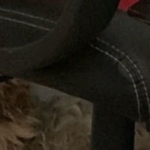 Meet your Posher, Austin